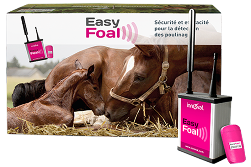 Coffret Easyfoal