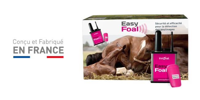 Kit completo de parto EasyFoal - OUTDOOR